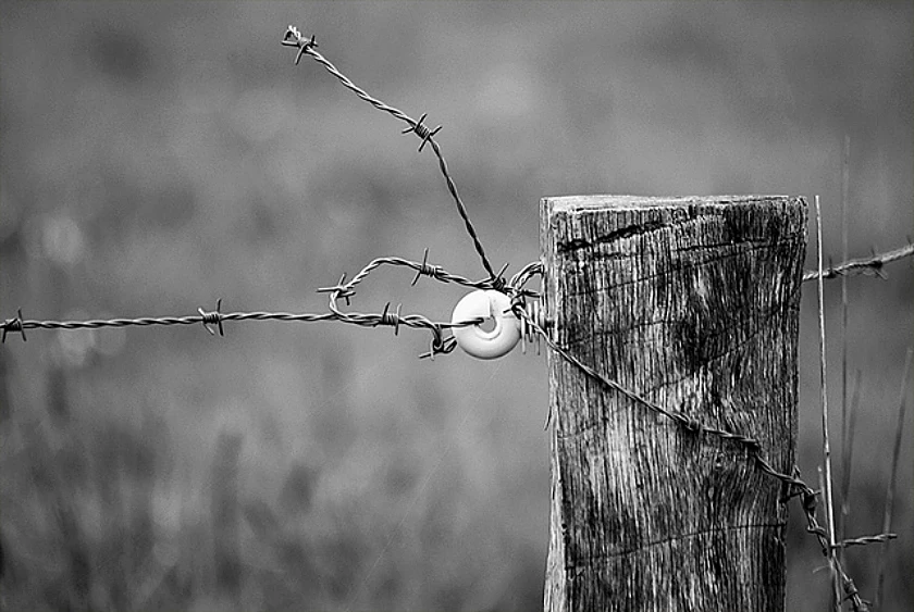 Der alte Zaun