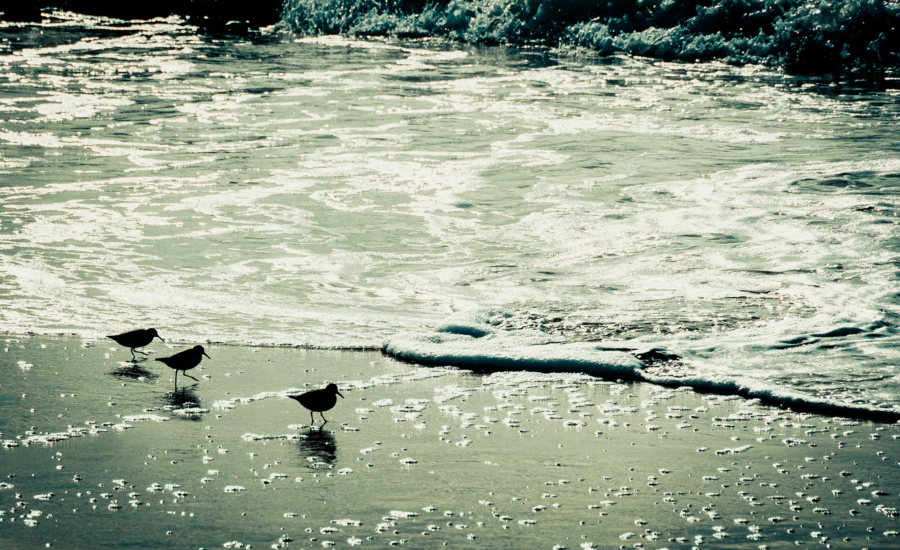 Wellen und Meer am Strand von Conil de la Frontera