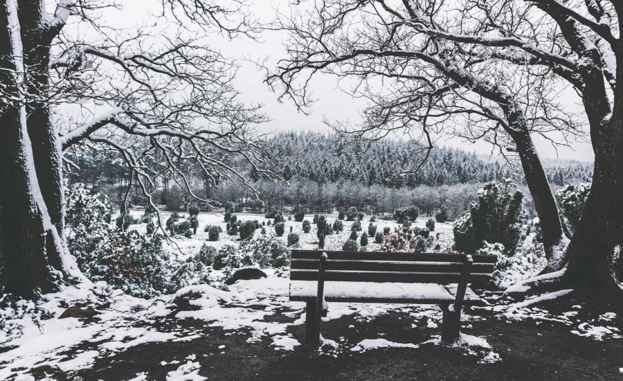 Winterzauber in der Lünebuger Heide