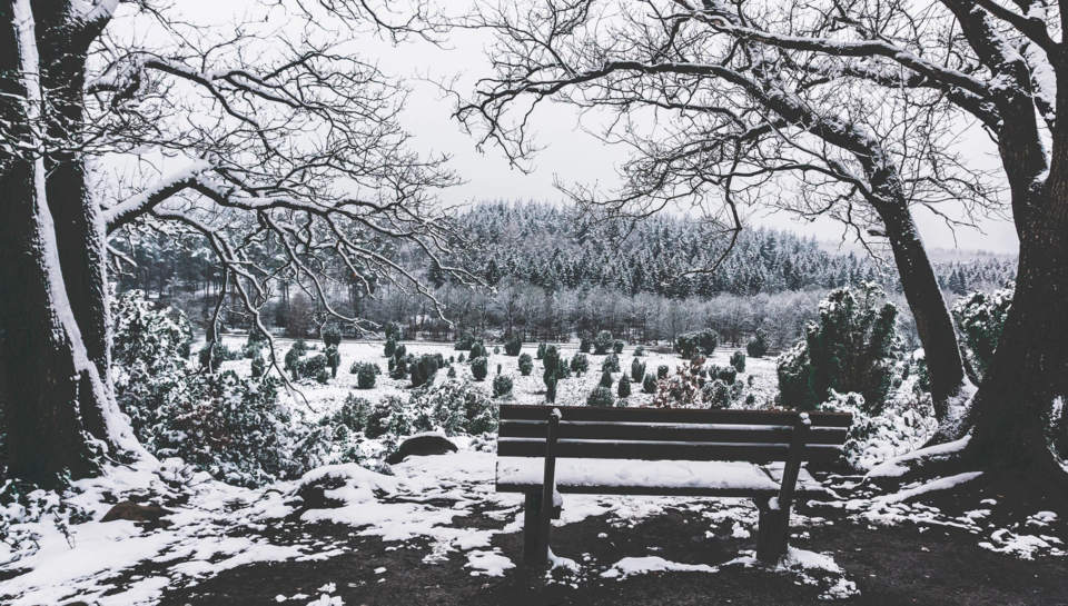 Winterzauber in der Lünebuger Heide