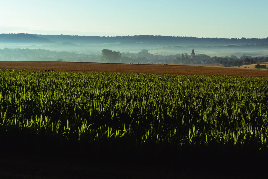 Gebsattel im Morgenlicht
